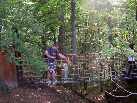 119 Šťastná země (50)