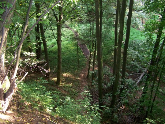 119 Šťastná země (56)